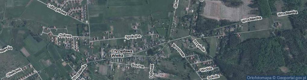 Zdjęcie satelitarne C. S. Lewisa ul.